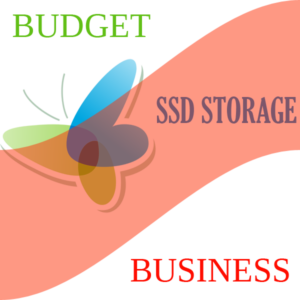 Budget Business